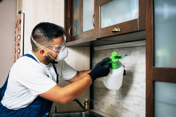 Trusted Frenchtown, MT Pest Control Experts