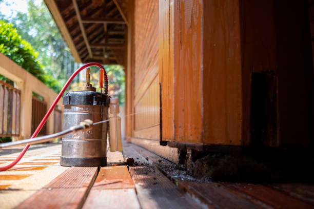 Best Commercial Pest Control Services  in Frenchtown, MT