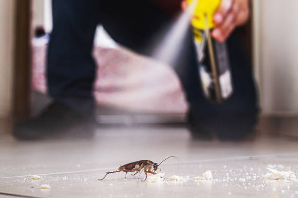 Best Best Pest Control Companies  in Frenchtown, MT