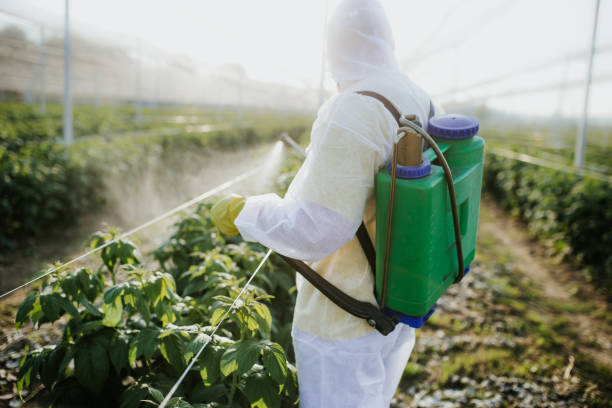 Best Best Pest Control Companies  in Frenchtown, MT